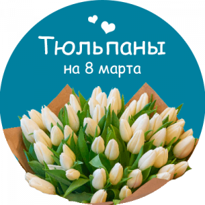 Купить тюльпаны в Калининграде